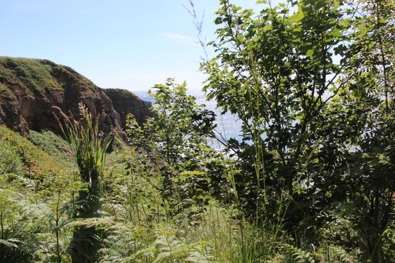 Toadhall Rooms Muchalls Exterior foto